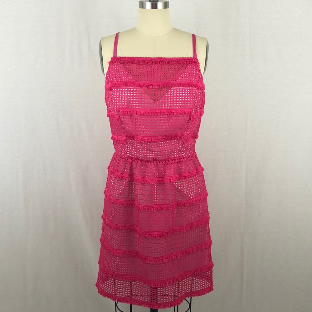 Barbie Pink! Anthropologie Hutch Eyelet Fringe Pink Dress